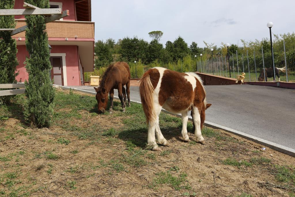 Agriturismo Ciociaro " Il Colle " Hotel Ristorante Ceprano Exterior foto